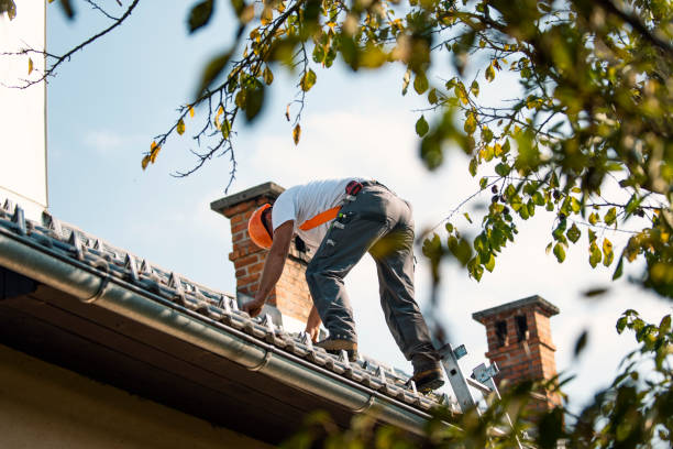 Best Roof Leak Repair  in Raymond, WI