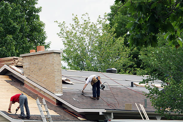 Best Roof Gutter Cleaning  in Raymond, WI