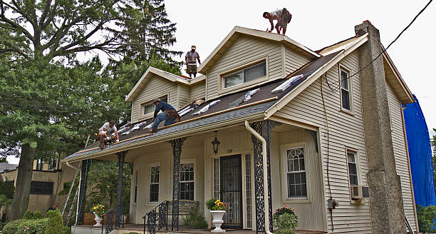 Best Metal Roofing Contractor  in Raymond, WI